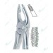 Deep Gripping Upper Atraumatic Extraction Forceps