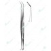 Delicate Dissecting Forceps