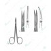 Delicate Scissors