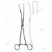 Duplay Uterine Tenaculum Forceps, 250 mm