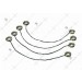 Elastic Cords