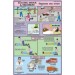Electric Shock Treatment Chart
