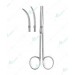 Enucleation Scissors
