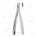 Extracting Forceps - English Pattern
