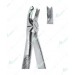 Extracting Forceps - English Pattern