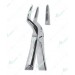 Extracting Forceps - English Pattern, A upper roots
