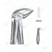 Extracting Forceps - English Pattern, L lower roots