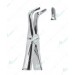 Extracting Forceps - English Pattern, lower roots