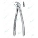 Extracting Forceps - English Pattern, lower roots