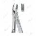 Extracting Forceps - English Pattern, R upper molars, right