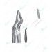 Extracting Forceps - English Pattern, upper roots