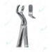 Extracting Forceps - English Pattern, upper third molars