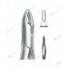 Extracting Forceps – American Pattern, B Upper roots, anterior