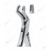 Extracting Forceps – American Pattern, R Upper molars, right