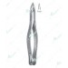 Extracting Forceps – American Pattern, Upper incisors and bicuspids