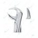 Extracting Forceps, C Lower third molars with serrated tips