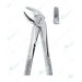Extracting Forceps – English Pattern, Lower incisors and canines with serrated tips