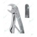 Extracting Forceps – Klein Pattern, Lower incisors with serrated tips, for children