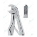 Extracting Forceps – Klein Pattern, Lower molars with serrated tips