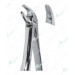 Extracting Forceps, Lower incisors and canines with serrated tips