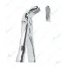 Extracting Forceps, Lower molars with serrated tips