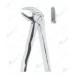 Extracting Forceps, Lower roots with serrated tips