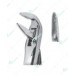 Extracting Forceps, Lower roots with serrated tips