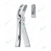 Extracting Forceps, Upper molars, left with serrated tips