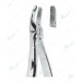 Extracting Forceps, Upper premolars with serrated tips