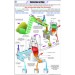 Extraction of Zinc