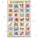 Flowers Chart