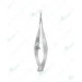 Gills-Vannas Capsulotomy Scissors, 7mm long blades, curved
