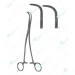 Gray Gall Bladder Instrument, 180 mm