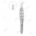 Haberle-McPherson Lens Holding Forceps