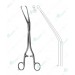 Herff Puncturing Forceps, 225 mm