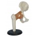 Hip Joint Model