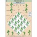 Hybridisation-2 (Dihybrid Cross) Chart