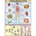 Immune System Chart
