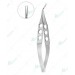 Inamura Capsulorrhexis Forceps