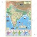 India Physical Map