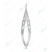 Iris Scissors