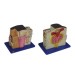 Kidney Microstructure Model