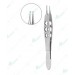 Kurstin Flap Stretching Forceps