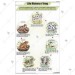 Life History of Frog chart