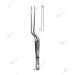 Lucae Forceps, 1x2 teeth