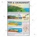 Man & Environment Chart