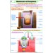 Manufacture of Phosphorus Chart