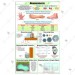 Measurements Chart