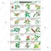 Medicinal Plants-II Chart
