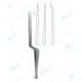 Micro Forceps